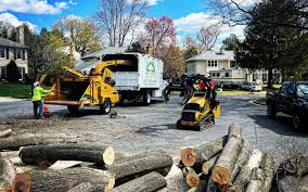 Lawn Irrigation Installation and Maintenance in Colonial Park, PA